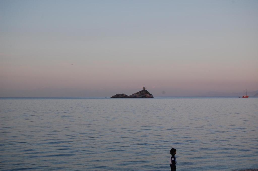 Hotel Acquamarina 포르토페라이오 객실 사진